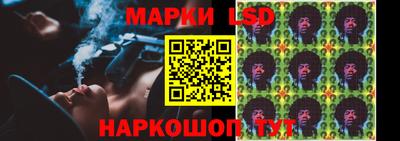 apvp Бийск