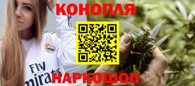 apvp Бийск