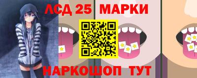 apvp Бийск