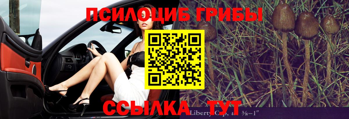 Кировск  Галлюциногенные грибы GOLDEN TEACHER  Псилоцибиновые грибы Psilocybine cubensis  Вход с VPN 